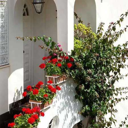 Bed and breakfast Riolinciano14 Anacapri (Isola di Capri)