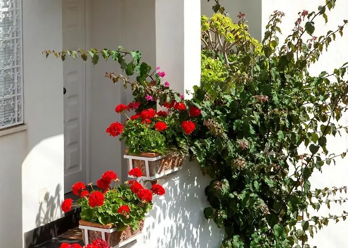 Bed & Breakfast Riolinciano14 B&B Anacapri (Isola di Capri)